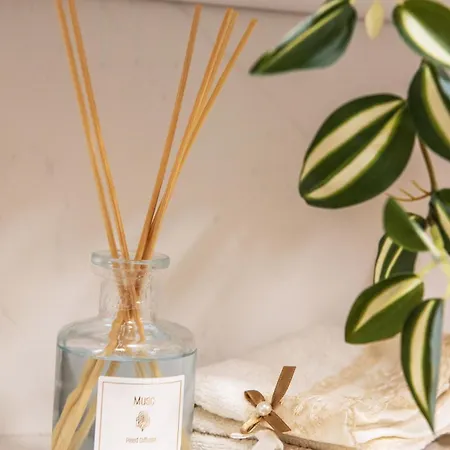 Apartment Promenada Ns